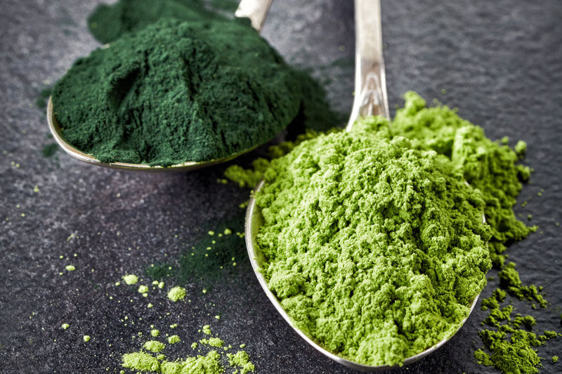 O que são Chlorella e Spirulina? Qual a diferença e pra que servem?