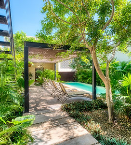 Infinity pool and tropical garden patio at Casa Loltún in Mérida, with sun deck, loungers, and a covered terrace for relaxed outdoor dining.