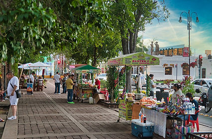 A group of Expats in Mérida, Mexico