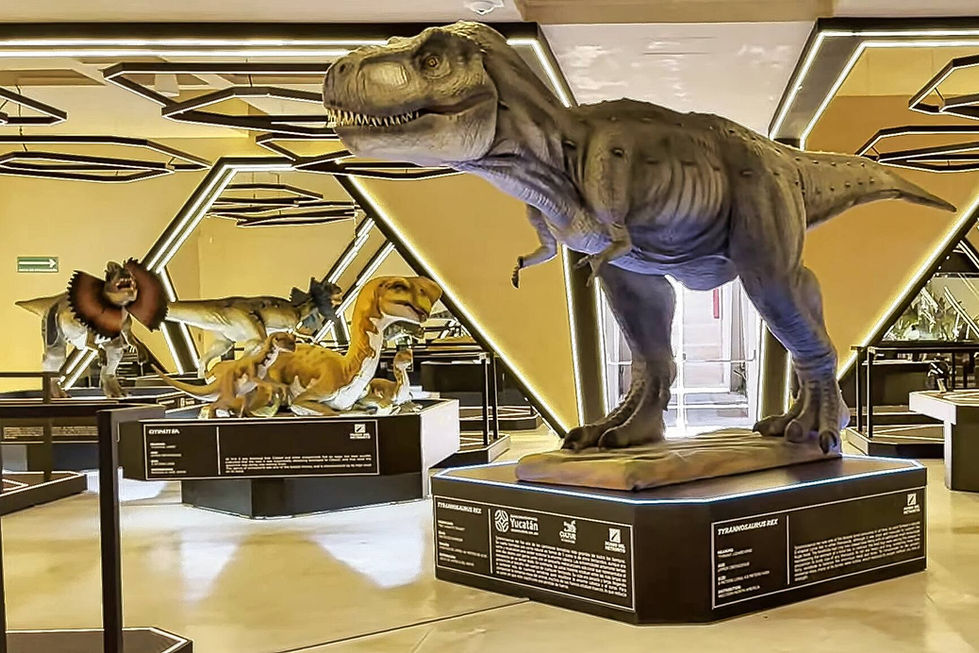 Museo Meteorito in Progreso, Mexico