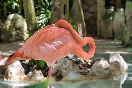 Activities in Mérida