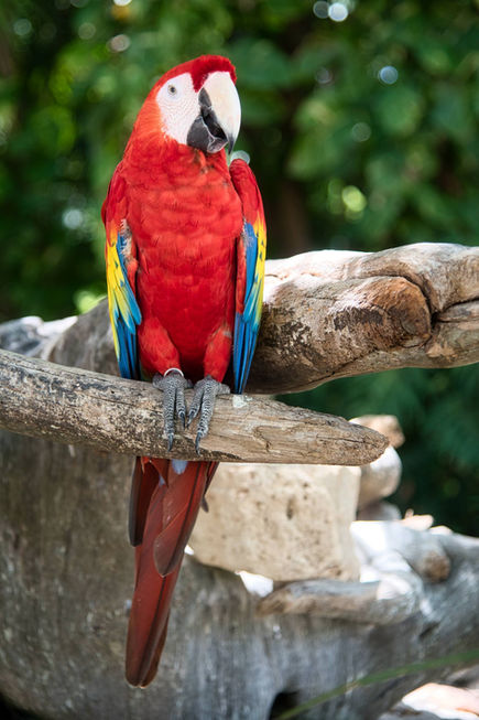 Xcaret Park in Mexico