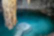 Activities in Mérida