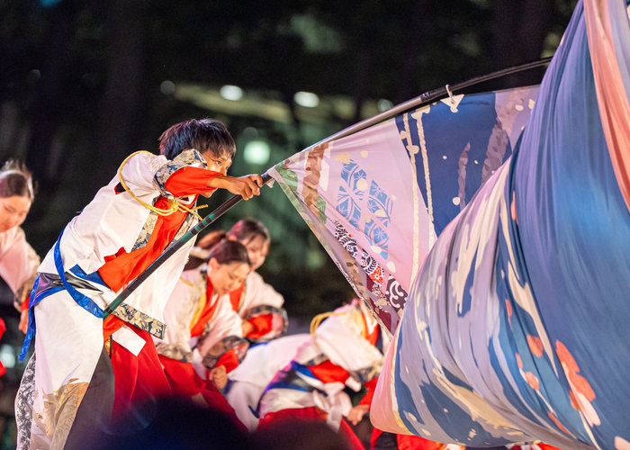 来し方、行く末