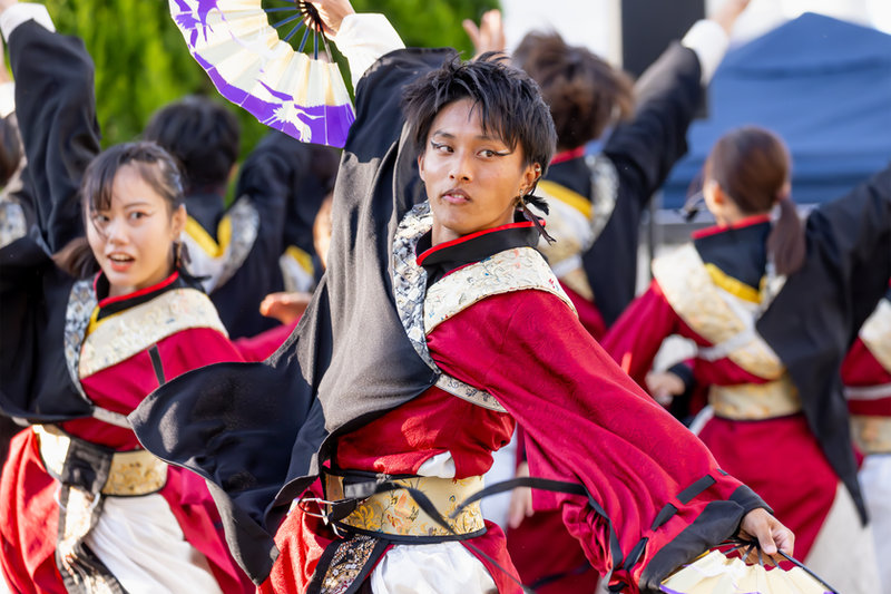 彩ノ京パフォーマンス