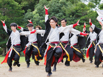 パフォーマンス