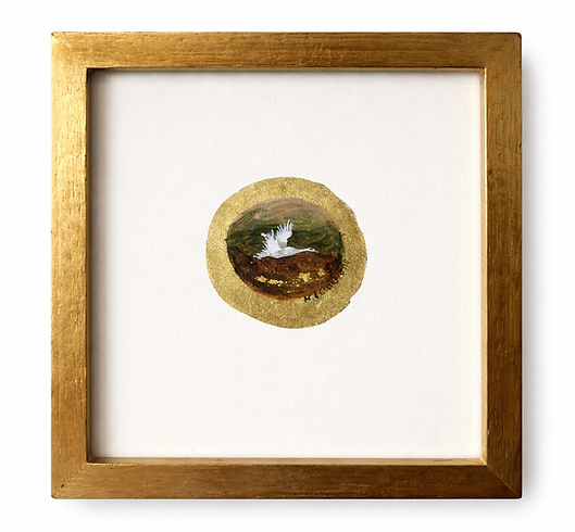 Evening Flight Web .png