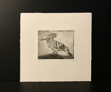 Lot 17C: Hoopoe by Roxandra