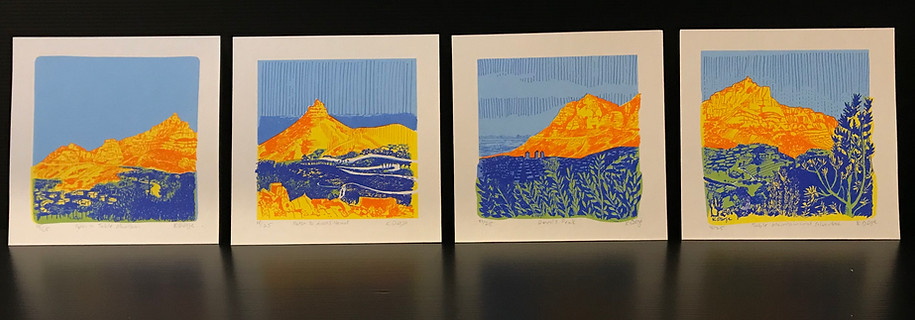 Lot 11 A, B, C, D.jpg