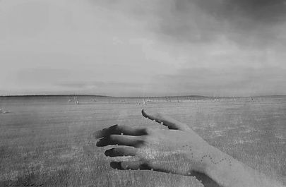 50 Julia van schalkwyk, broken nature.jp