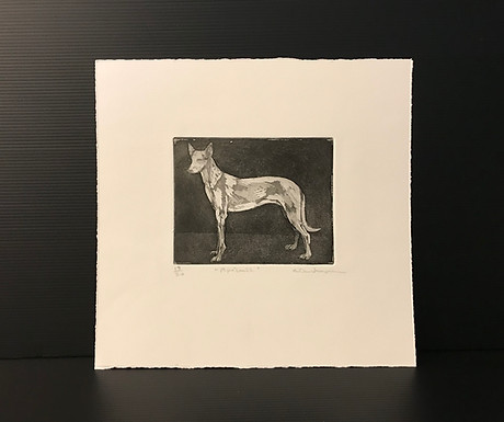 Lot 17A: Africanus by Roxandra