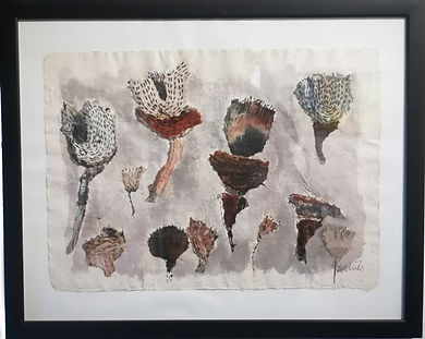 Elizabeth Vels, Rudimentary Botany II