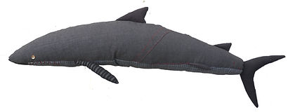 Grey Rag Sahrk-Gina NiederhumerCut.jpg