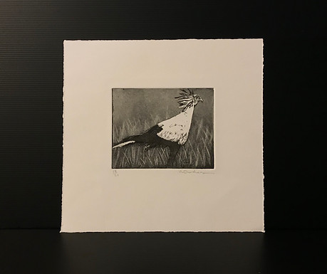 Lot 17B: Secretary Bird by Roxandra