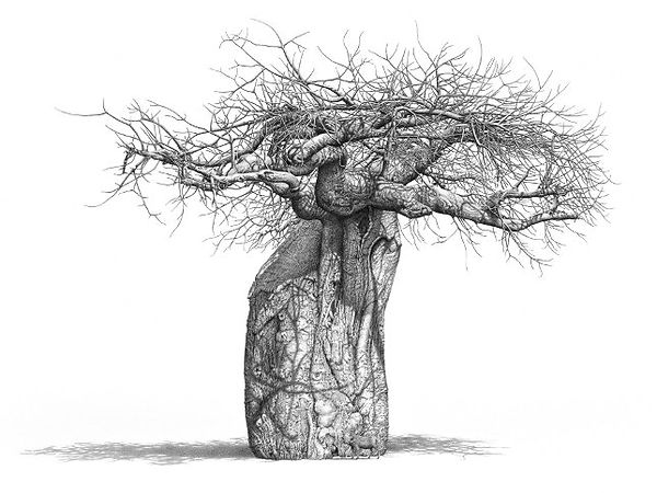 Lot 14: Still-life with warthog by Bowen Boshier