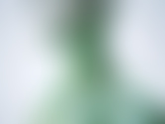 💧 The Sheer Truth About Your Lymphatic System