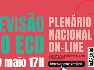 Plenário Nacional de Professores e Educadores - on-line (20 de maio | 17H00)