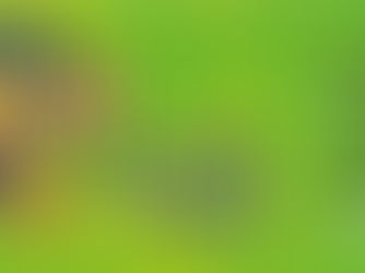 INICIATIVAS DO SPRC NA SEMANA NACIONAL DE REFLEXÃO E LUTA