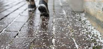 salting services.jpeg