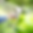 Untitled design (8).png
