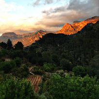 This image, capturing the Sóller valley is a homage to the timeless beauty of the island and the connection to the land. Inspired by the writing of Miquel Ferrà i Juan (1893-1947), a major literary voice and cultural figure in Mallorca,  with a deep love of the Tramuntana. He would often refer to Sóller as ‘La joia més extraordinària del paisatge mallorquí’ (the most extraordinary jewel of the Mallorcan landscape).