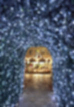 Organizza la tua festa