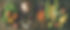AdobeStock_180176439.jpeg