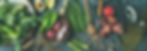 AdobeStock_208223685.jpeg