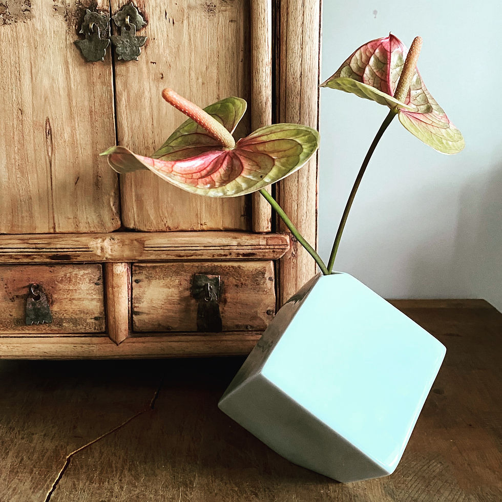 Thumbnail: Spin cube vases