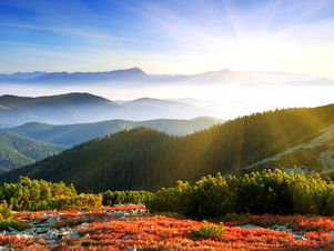 Allah’ım ne olur yeniden sabah olsun…