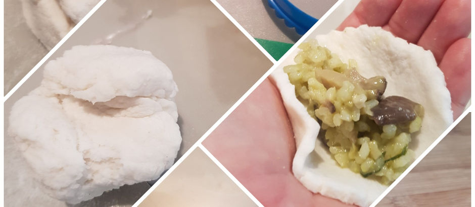 Gyoza/Dumpling wrappers