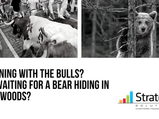 Running with the Bulls? Or waiting for a Bear hiding in the woods?