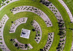 Designed Grass Field
