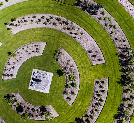 Designed Grass Field