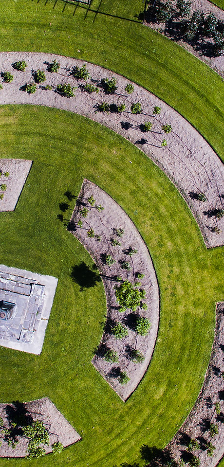 Designed Grass Field