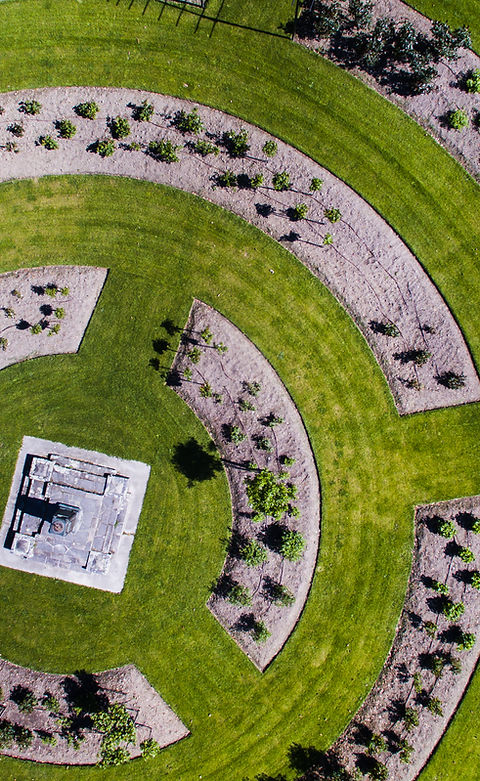 Designed Grass Field