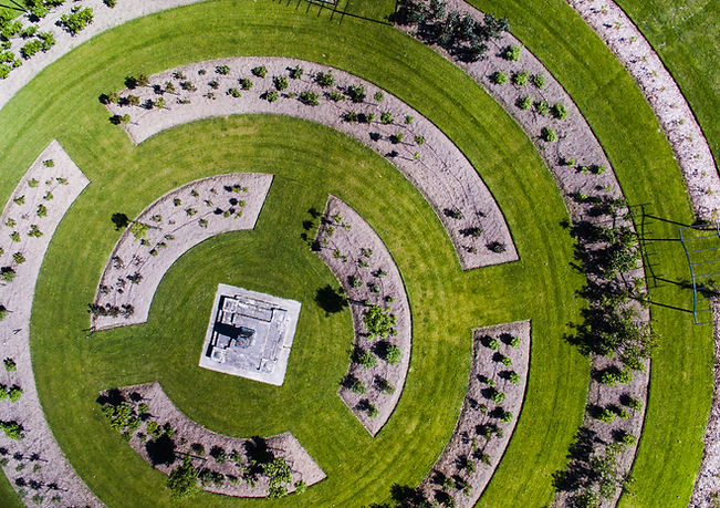 Campo in erba progettato
