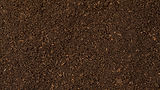 Dirt.jpg
