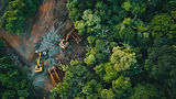 Forest_Cranes.jpg