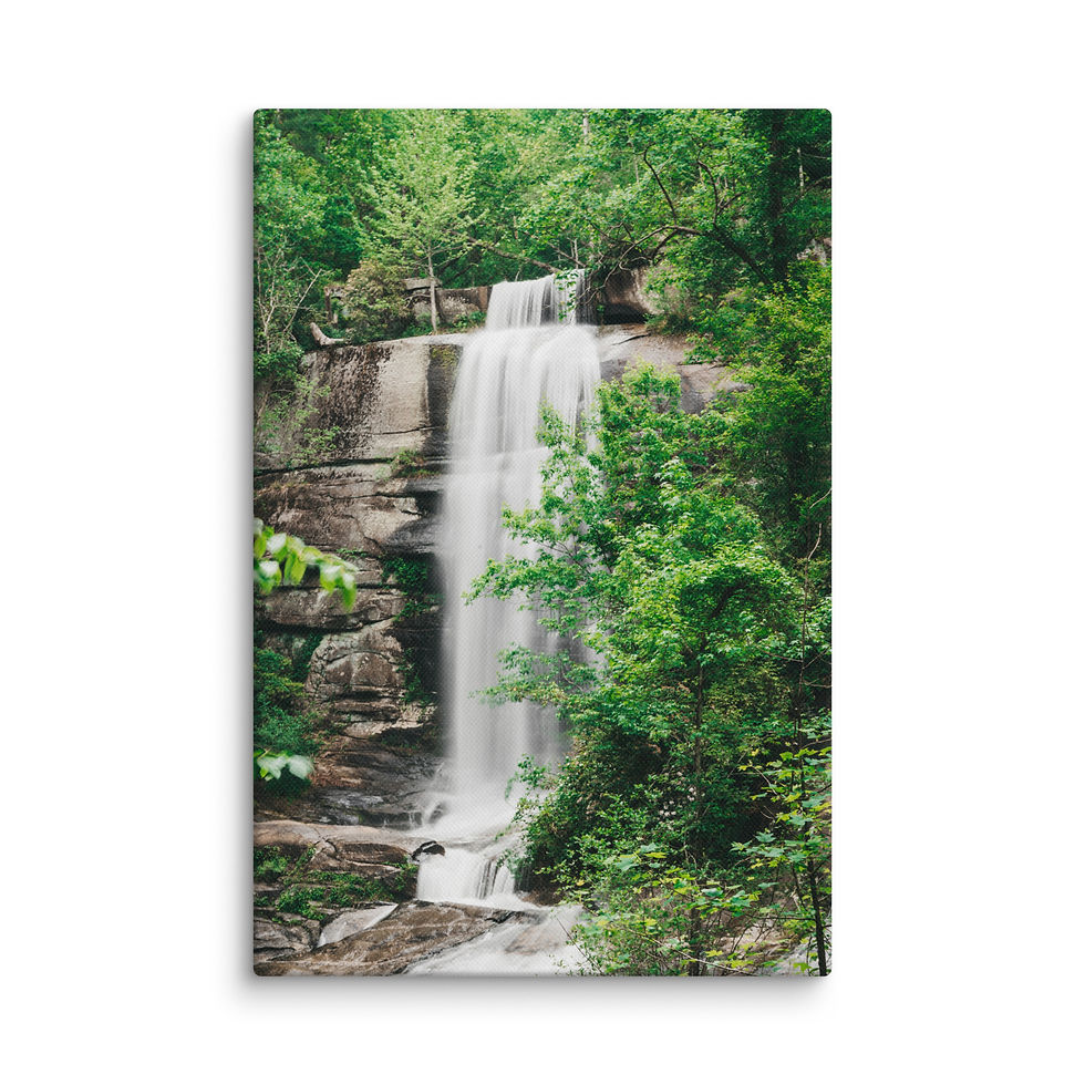 Thumbnail: TWIN FALLS 001 CANVAS