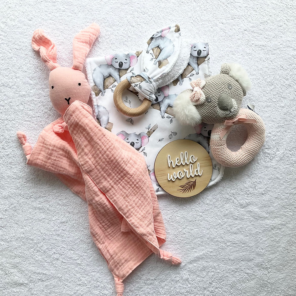 Thumbnail: Julia Newborn Baby Gift Box