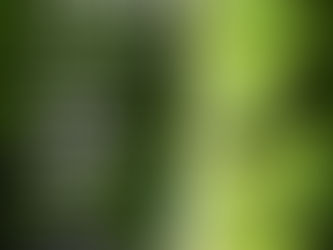 Make Up Pictures 8/8