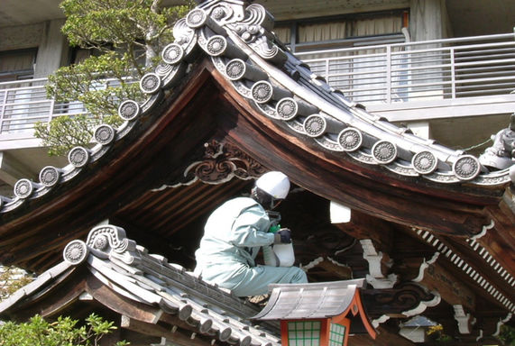 シロアリ防除