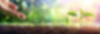 AdobeStock_411298432.jpeg