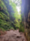 20220828_151536.jpg