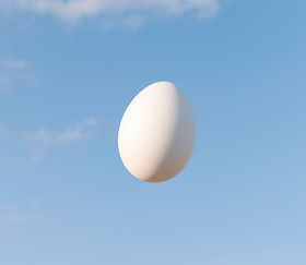 egg shaped UFO
