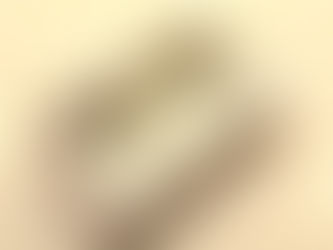 おすすめ結婚指輪〜ロル