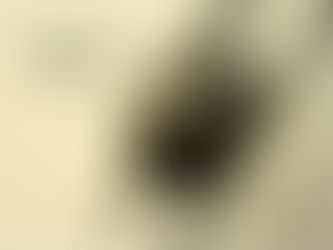 ブラックスターサファイア