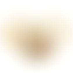 Stage Qi Gong - ENERGIE DE LA TERRE