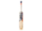 SS TON Vertu Cricket Bat - Premium English Willow